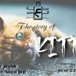 Kitty